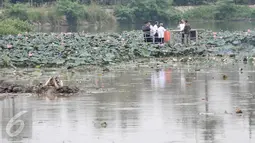 Petugas dari Pemprov DKI Jakarta mengecek lokasi pengerukan di Setu Mangga Bolong, Jakarta Selatan, Rabu (30/11). Pengerukan lumpur dan teratai dilakukan guna mencegah pendangkalan Setu Mangga Bolong. (Liputan6.com/Yoppy Renato)