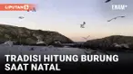 Tradisi Menghitung Burung Saat Natal Bantu Konservasi
