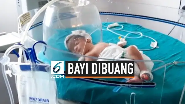 VIDEO: Anjing Liar Selamatkan Bayi Baru Lahir yang Dibuang