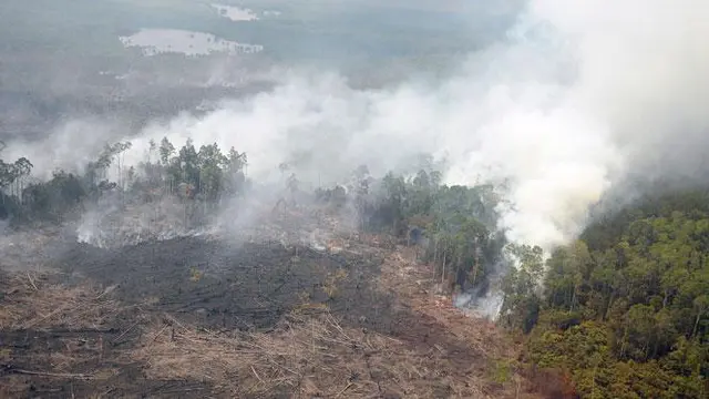Kabut_asap_Riau