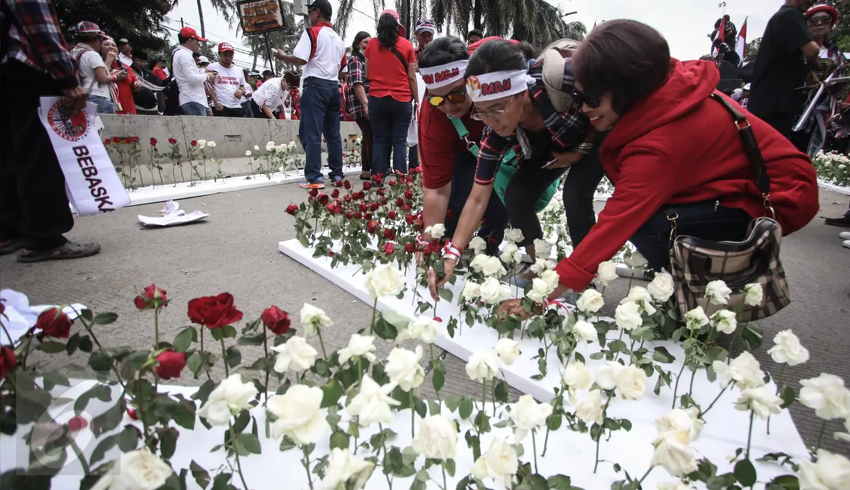 Massa menancap bunga mawar merah dan putih di sterofoam yang dijejerkan di depan Kementerian Pertanian, Jakarta, Selasa (9/5). Aksi itu diartikan sebagai bentuk rasa cinta pendukung kepada Basuki Tjahaja Purnama atau Ahok. (Liputan6.com/Faizal Fanani)