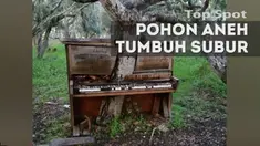 Walaupun terhalang oleh objek di atasnya, pohon-pohon ini tetap indah dan tumbuh subur.