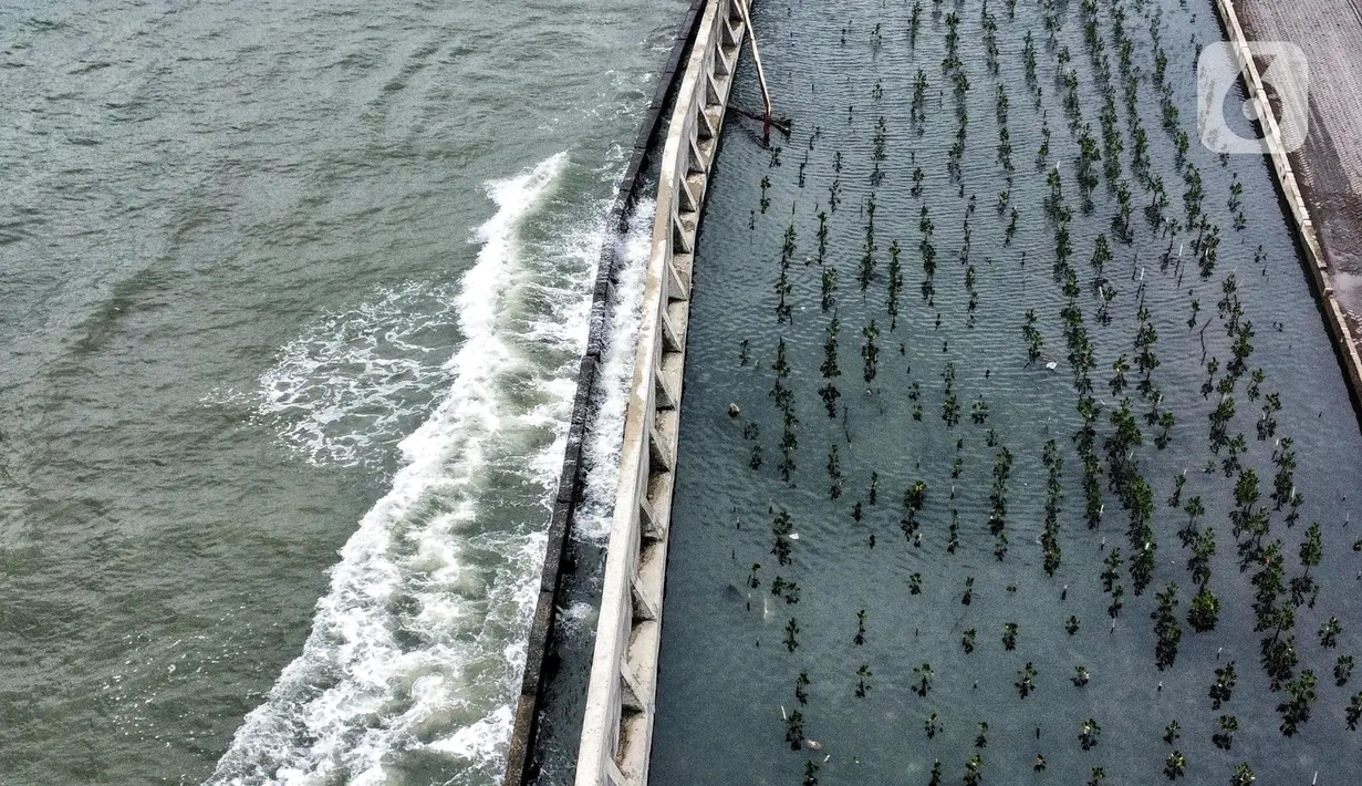 Kondisi banjir Rob saat melanda kawasan Pelabuhan Perikanan Samudera Nizam Zachman, Muara Baru, Jakarta Utara, Selasa (27/12/2022). Penjabat (Pj) Gubernur DKI Jakarta Heru Budi Hartono meminta masyarakat pesisir agar waspada menghadapi banjir Rob yang berdasarkan prediksi Badan Penanggulangan Bencana Daerah (BPBD) DKI Jakarta akan terjadi di kawasan pesisir Jakarta hingga 31 Desember 2022.  (merdeka.com/Iqbal S. Nugroho)