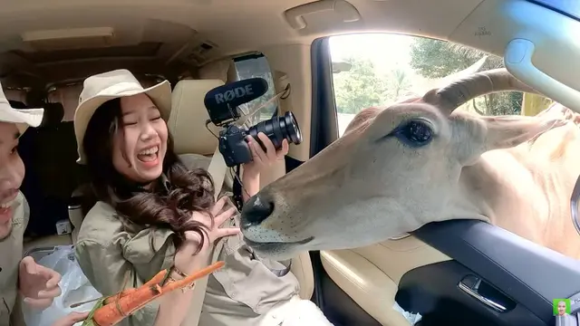 Bak Pertualang, Ini 7 Potret Jess No Limit dan Sisca Kohl di Taman Safari