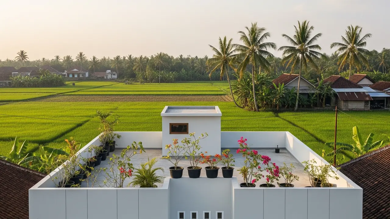Inspirasi 7x12 Rumah Minimalis Sederhana di Desa