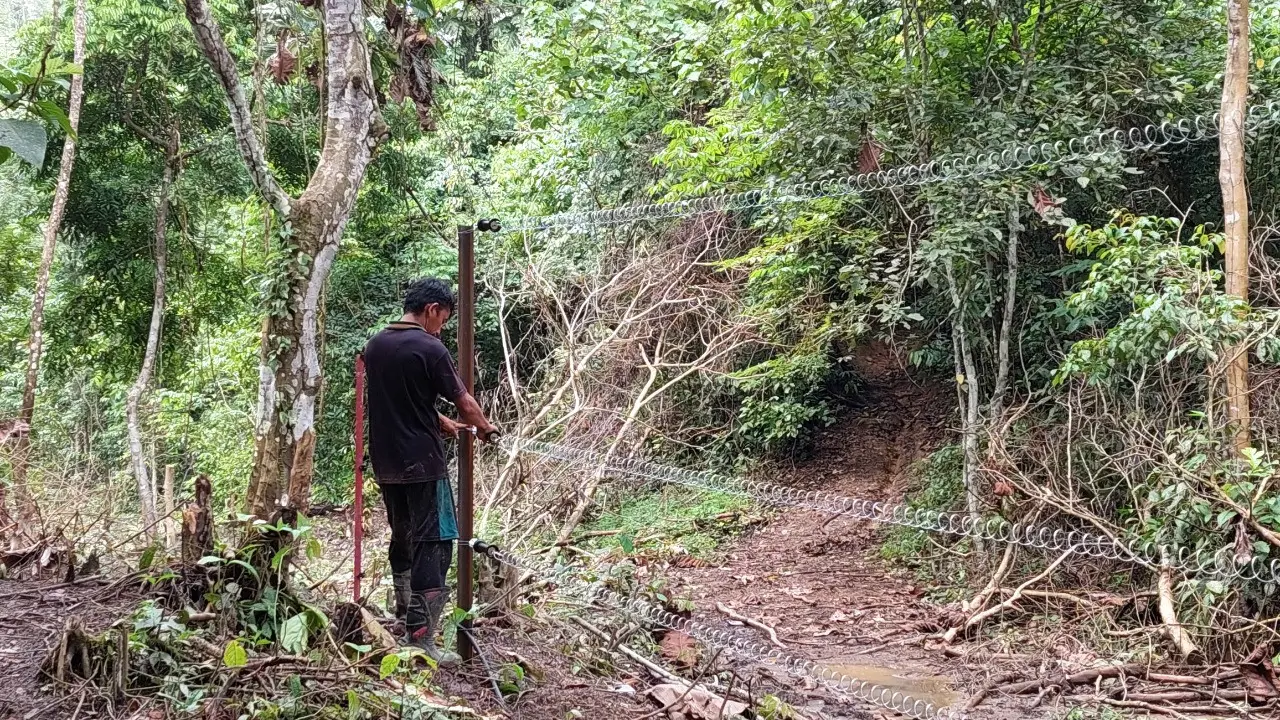 Pagar Kejut, Solusi Tekan Interaksi Negatif Gajah-Masyarakat di Aceh