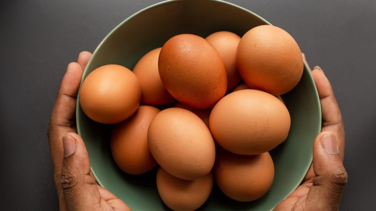 Ilustrasi telur ayam