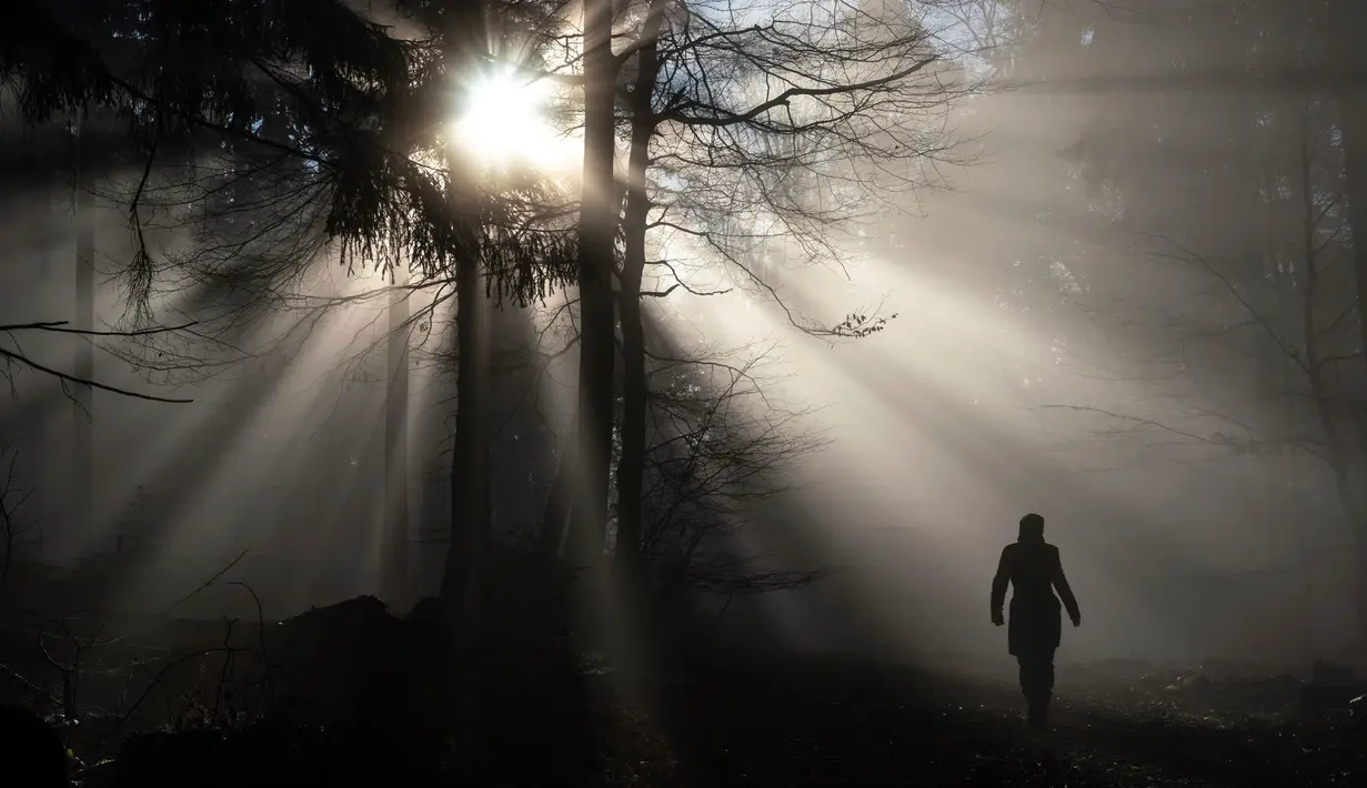 Seseorang berjalan di hutan dekat kota Königstein saat pagi hari di Jerman tengah, (28/12). (AP Photo / Frank Rumpenhorst)