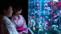 Segmen 7: Aquarium Nuansa Bawah Laut hingga Kerajinan Suvenir 