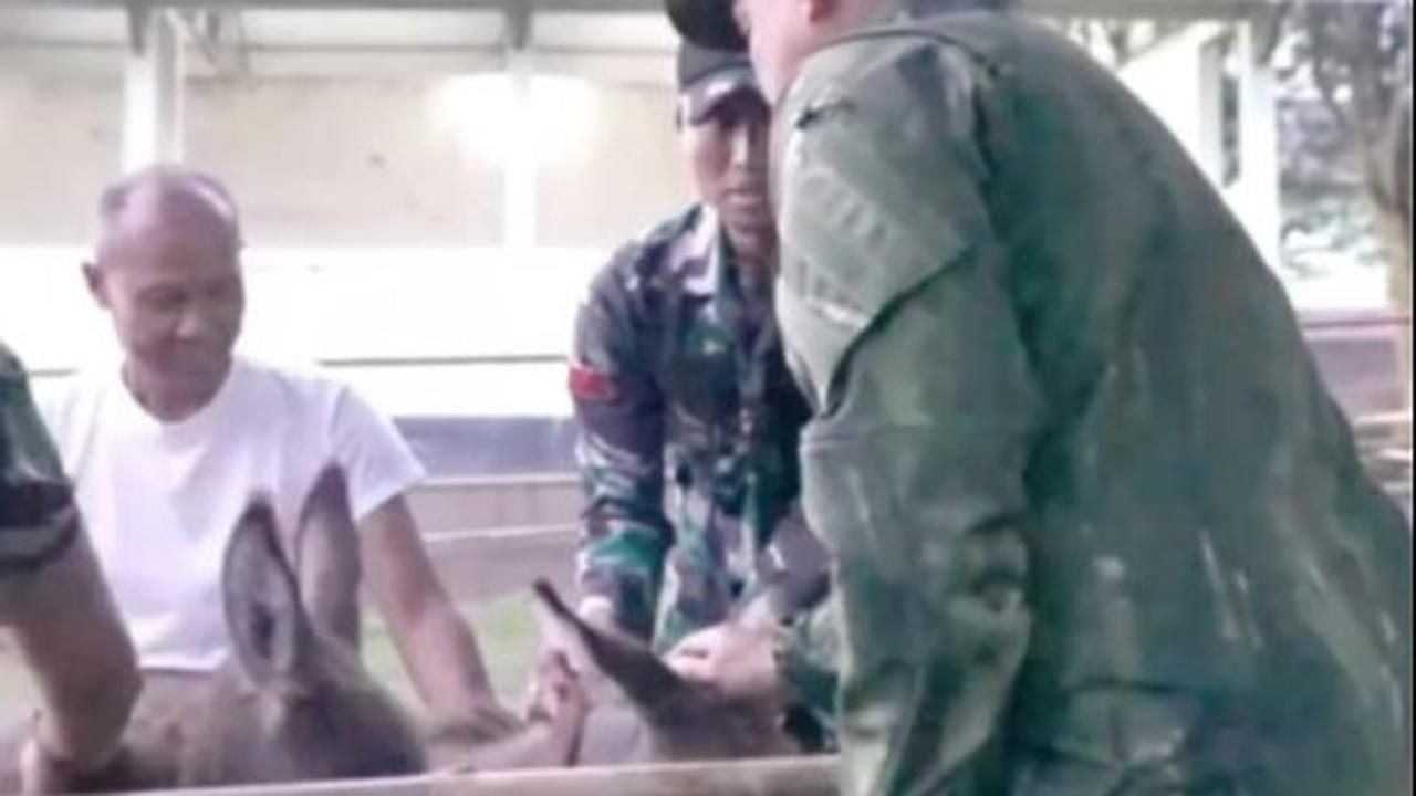 Jenderal Agus Subiyanto Kenalkan Boby dan Luna<br>