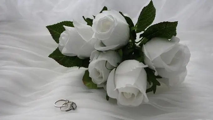 Ilustrasi./Copyright pixabay.com