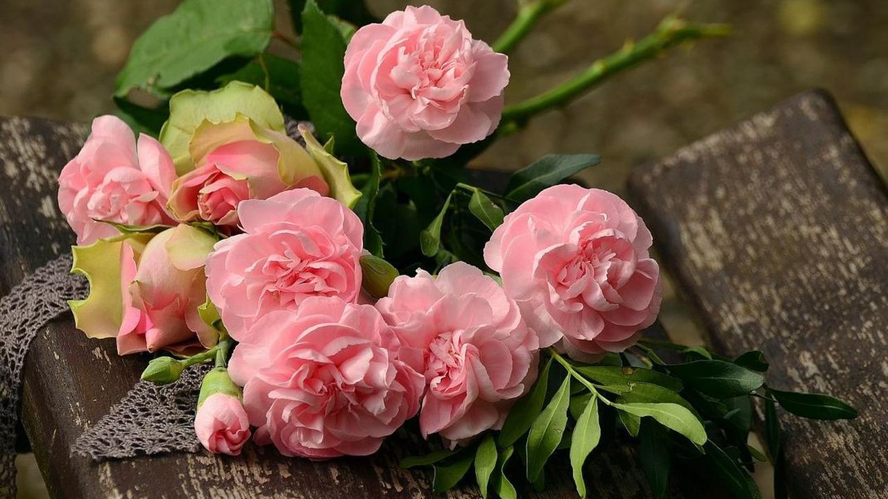 5. Minyak mawar untuk bahan parfum