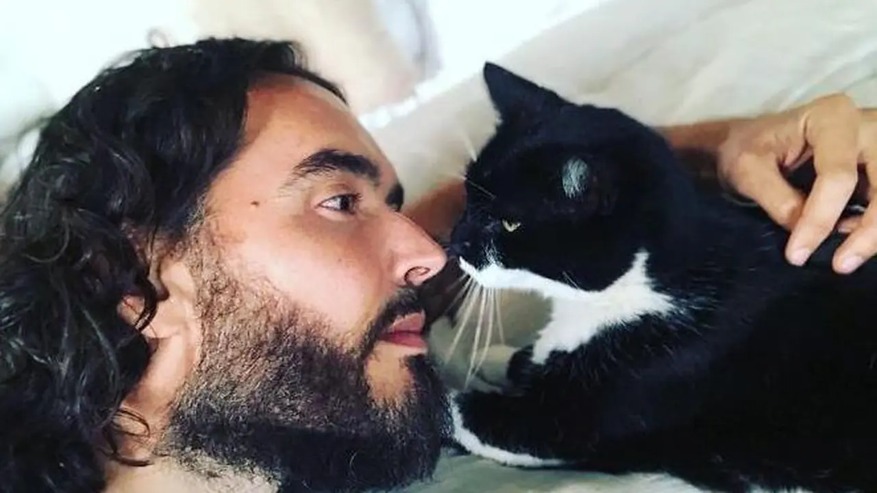 Gemas Banget, 8 Potret Selebritas Terkenal Bersama Kucing Kesayangan