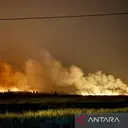 3.276 Hektare Hutan dan Lahan di Kalsel Terbakar
