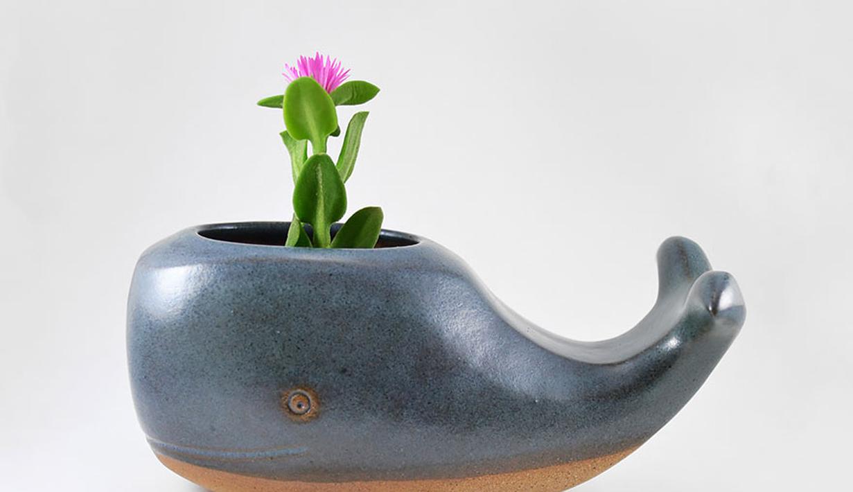  Pot  Pot  Bunga  Kecil  Bentuk Hewan Jadikan Taman Lebih 