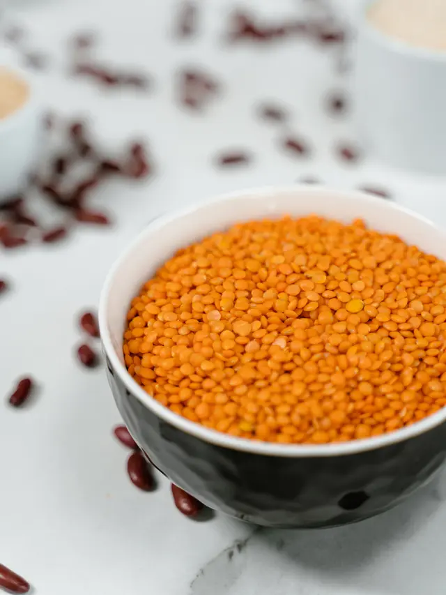 Contoh ilustrasi kacang lentil