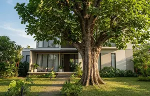 9 Pohon yang Sebaiknya Tidak Ditanam di Depan Rumah, Kesalahan Menanam yang Bisa Berujung Renovasi