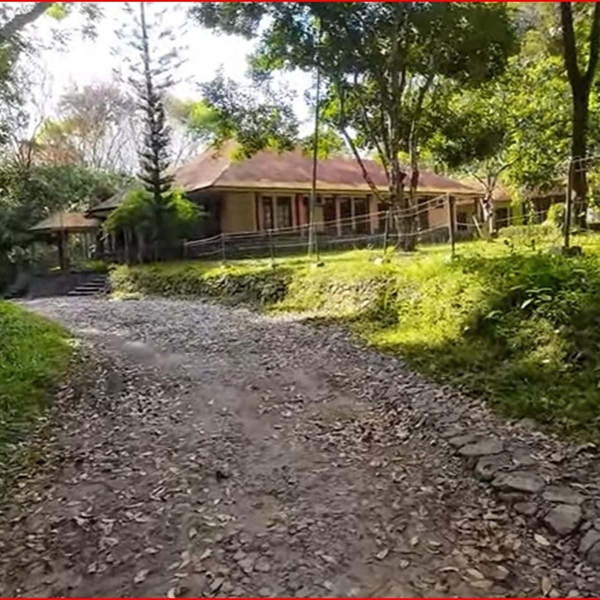 Perkebunan Bunisari