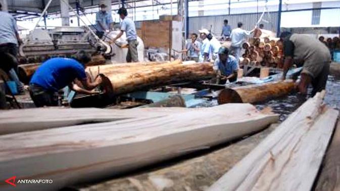 Perusahaan Jepang Bangun Pabrik Kayu Lapis Rp 100 Miliar Bisnis Liputan6 Com