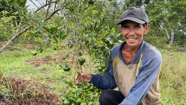 Program Bertani Tanpa Bakar dan Tanpa Kimia di Kalimantan Tengah.  foto: istimewa