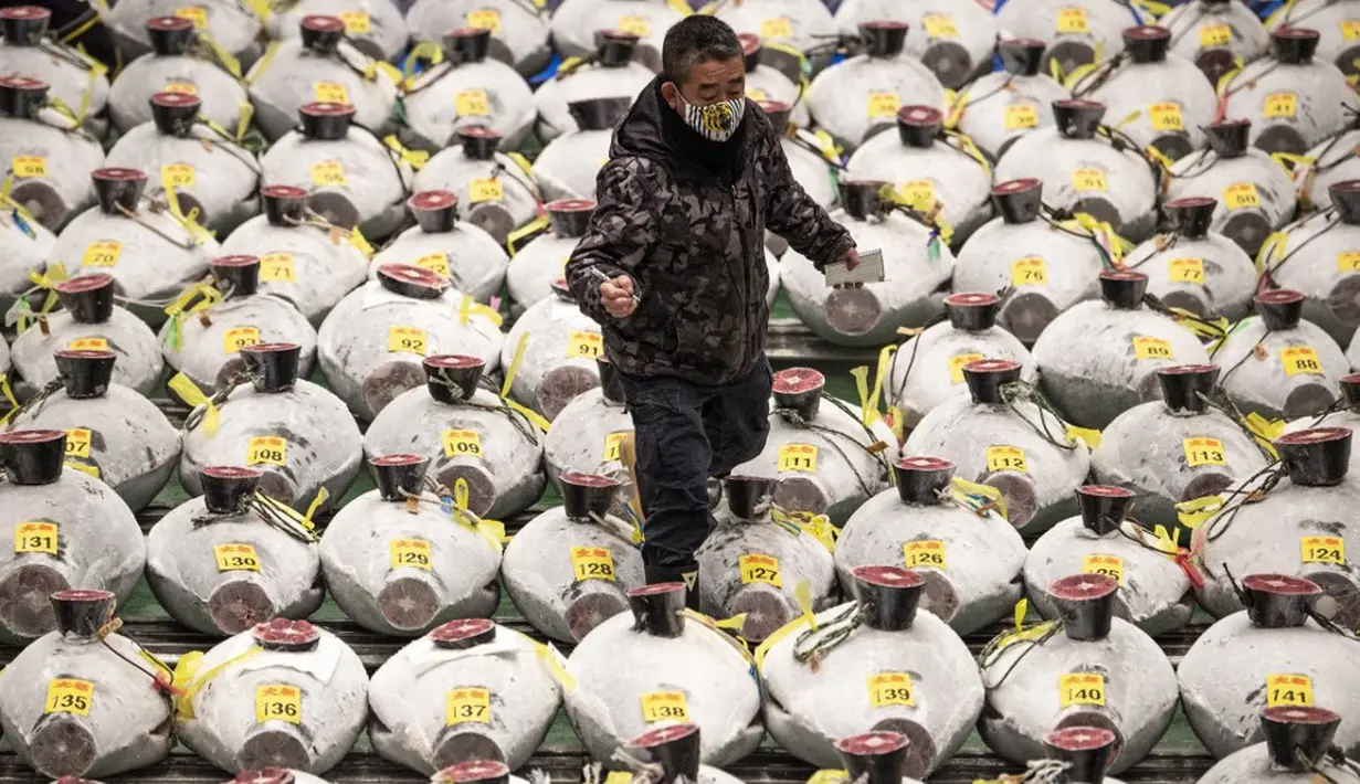 Seorang tengkulak yang mengenakan masker untuk mencegah penularan COVID-19 berjalan melewati deretan tuna beku di Pasar Toyosu, Tokyo, Jepang, 5 Januari 2021. Lelang tuna Tahun Baru tahunan berakhir tanpa perang penawaran yang mencengangkan. (Philip FONG/AFP)