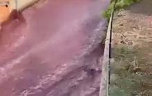 Desa Kecil di Kota Ini Banjir Anggur Merah, Ternyata Ini Gara-Garanya