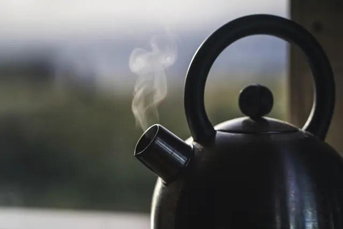 Segelas Air Hangat Bisa Bantu Nafsu Makan Kembali dan Meredakan Flu