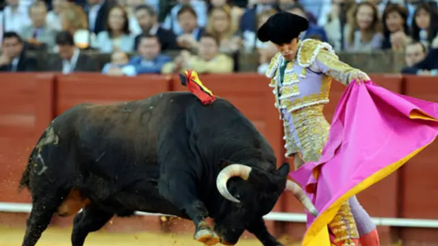 Bukan Warnanya, Ternyata Banteng Terancam Dengan Gerakan Kain
