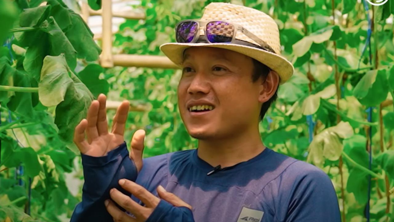 Cerita Umam, PNS yang Tak Sanggup Beli Popok Anak Kini Raup Cuan Rp20 Juta Lewat Bertani