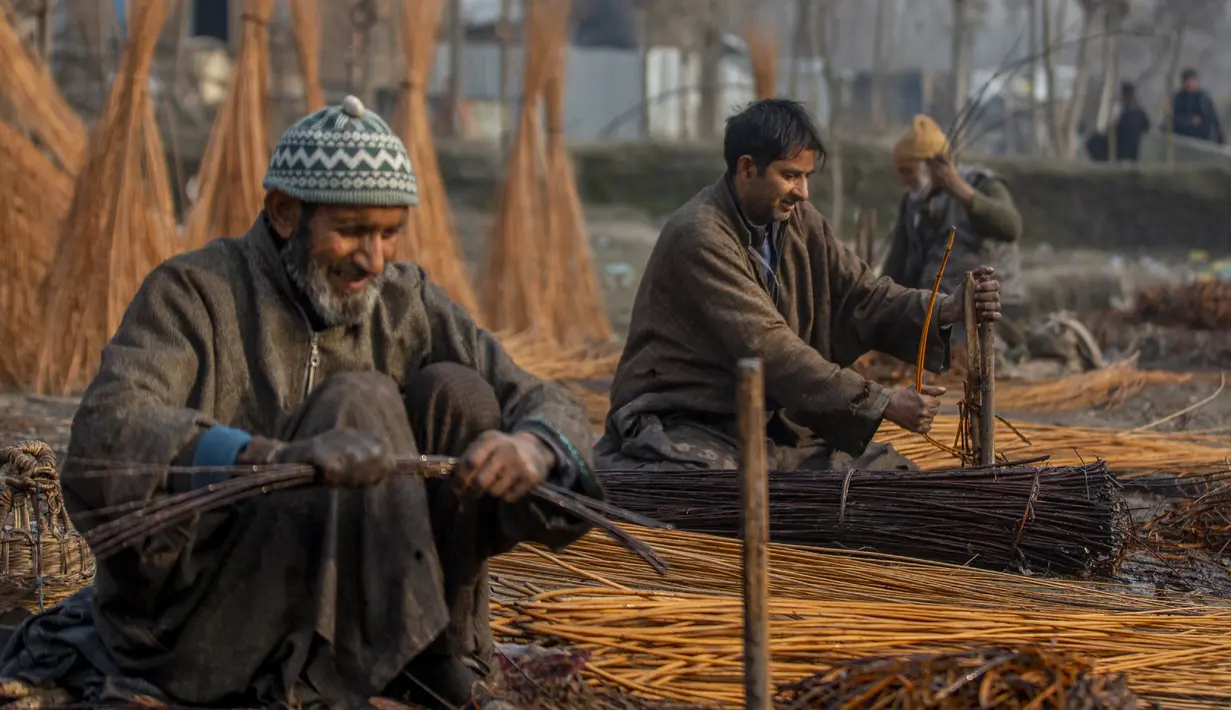 Penduduk desa Kashmir mengupas penutup rotan di pinggiran Srinagar, Kashmir yang dikuasai India, Selasa (30/11/2021). Anyaman digunakan untuk membuat tungku tradisional yang disebut Kangri di Kashmir. (AP Photo/Dar Yasin)