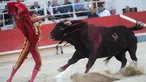 Matador Spanyol, Roman berusaha menusukkan pedang ke banteng saat The Easter Feria di Arles, Perancis, Senin (18/4). The Easter Feria adalah awal dari musim adu banteng di Perancis. (AFP PHOTO / BERTRAND LANGLOIS)