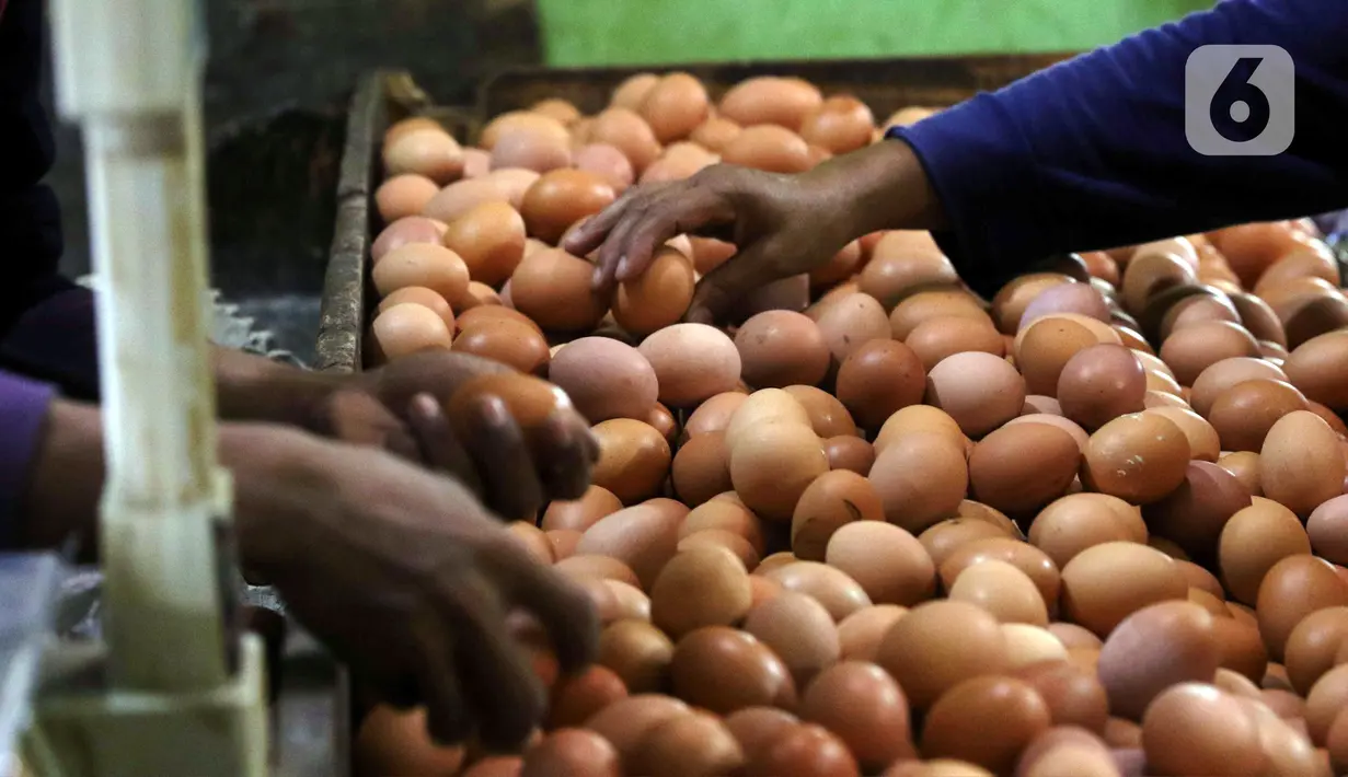 Pembeli memilih telur ayam di Pasar Kelapa Dua, Kabupaten Tangerang, Banten, Rabu (29/12/2021). Jelang pergantian tahun, harga telur ayam mencapai Rp 30.000 per kg. (Liputan6.com/Angga Yuniar)