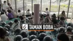 Pecinta minuman boba sepertinya harus berkunjung ke Harajuku, Jepang. Di sana sedang dibuka taman boba yang berisi ratusan vendor penjual minuman boba, hingga tempat berfoto.