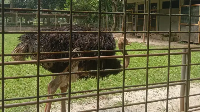 Satwa di Ragunan