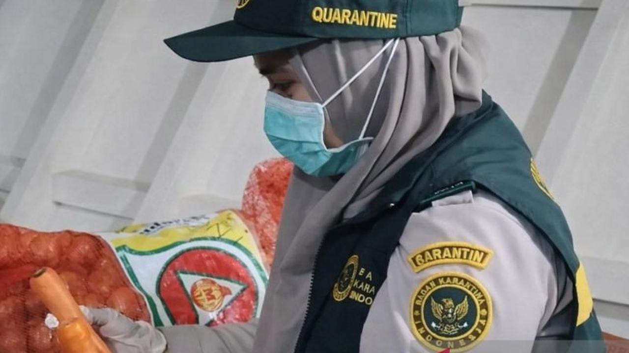 BKHIT Maluku Perketat Pengawasan Komoditas Tumbuhan, Jaga Kualitas Pertanian Daerah
