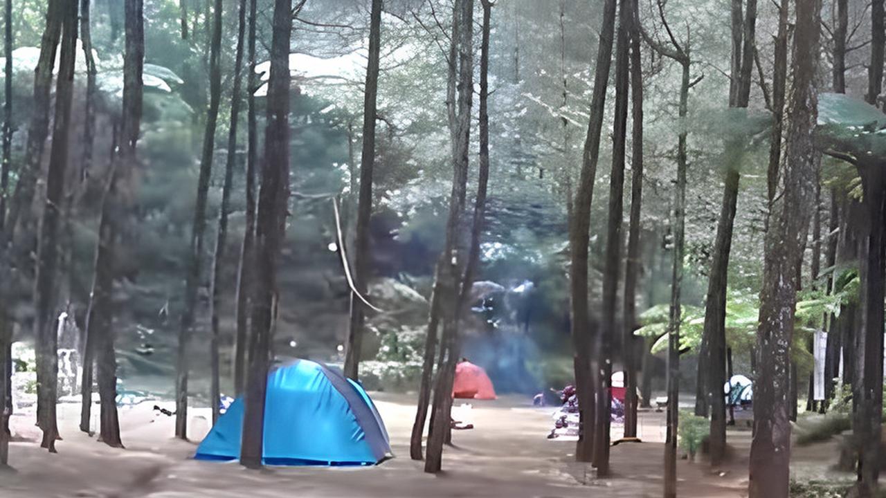 Asyiknya Berkemah di Bukit Kanaga Cikijing, Pemandangan Kabut dan Hutan Pinusnya Bikin Nagih