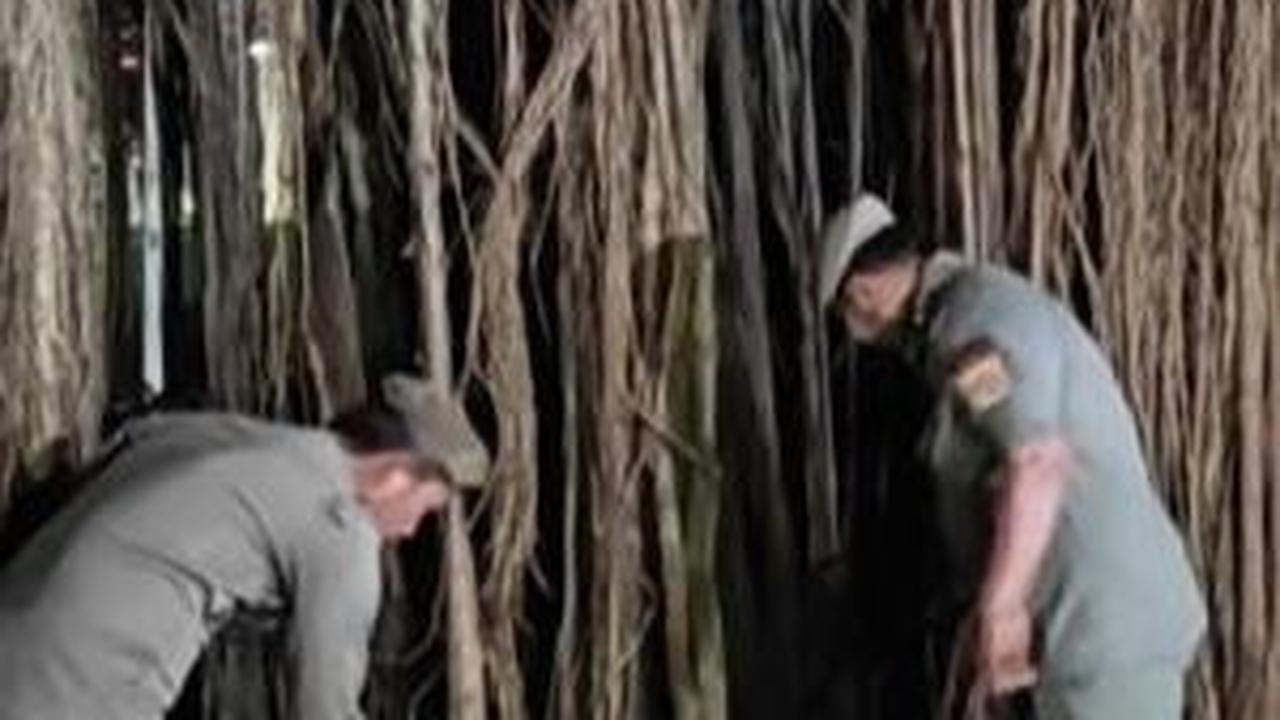 Fakta-Fakta LGBT di Hutan Kota Cawang: Pelaku Asusila Orang Kaya, Masuk Lewat Pagar Berlubang