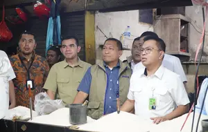 Bapanas Tegaskan Beras Premium Tidak Langka