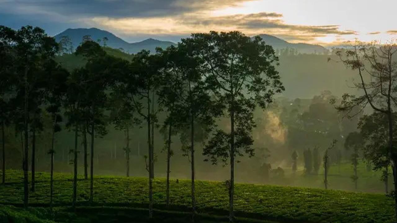 6 Fakta Menarik Gunung Batu Ciwidey di Perbatasan Bandung dan Cianjur