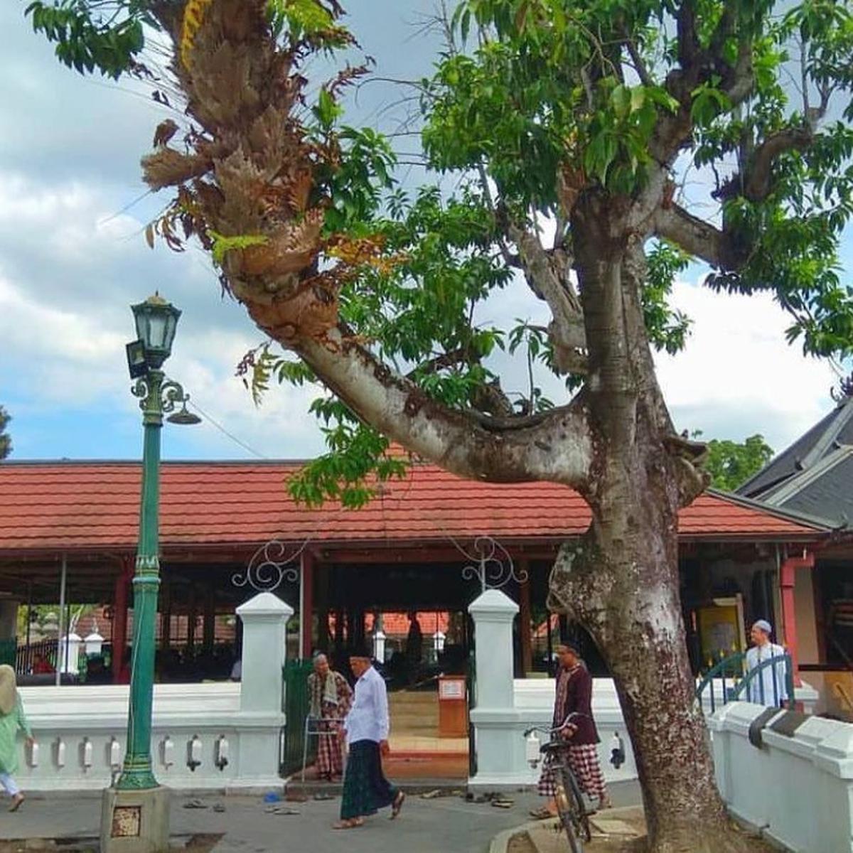 Suasana di komplek Masjid Mataram Kotagede