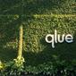 Logo startup Qlue. (Ist.)