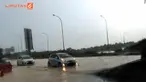 Yayasan Lembaga Konsumen Indonesia (YLKI)  mendesak PT Jasa Marga Tbk (JMSR)memberikan ganti rugi kepada konsumen. Sebab, banyak kendaraan yang rusak karena kebanjiran di Tol Cikampek.