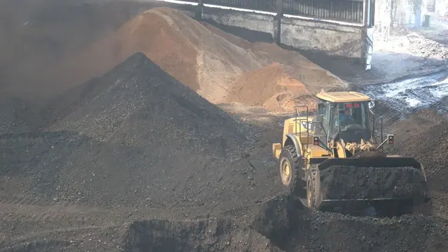 Biomassa, Energi Hijau Andalan Indonesia Capai Ketahanan Energi