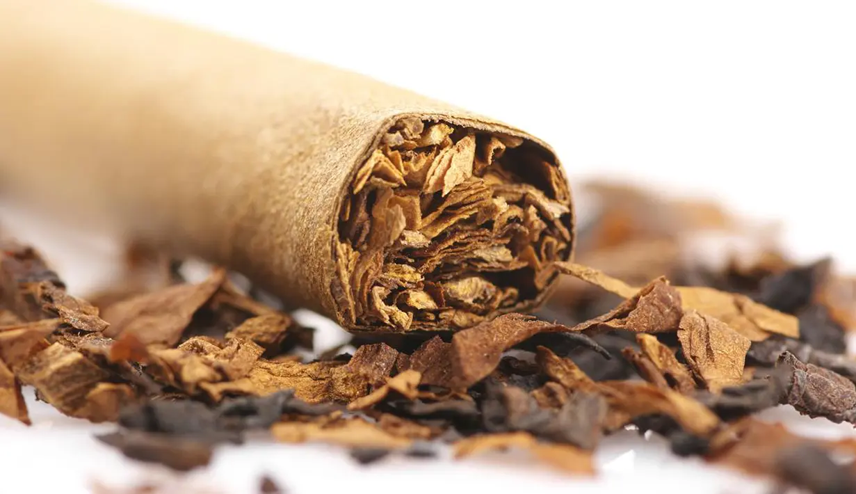 Perokok terkadang mempunyai bau badan yang sangat tidak enak. Sebab ketika asap rokok bercampur dengan kelenjar keringat lain di dalam tubuh maka dapat membuat bau badan. (Istimewa)