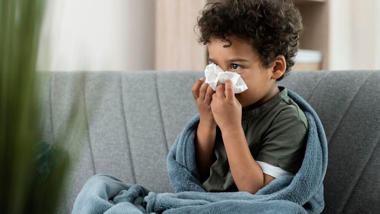 1. Influenza