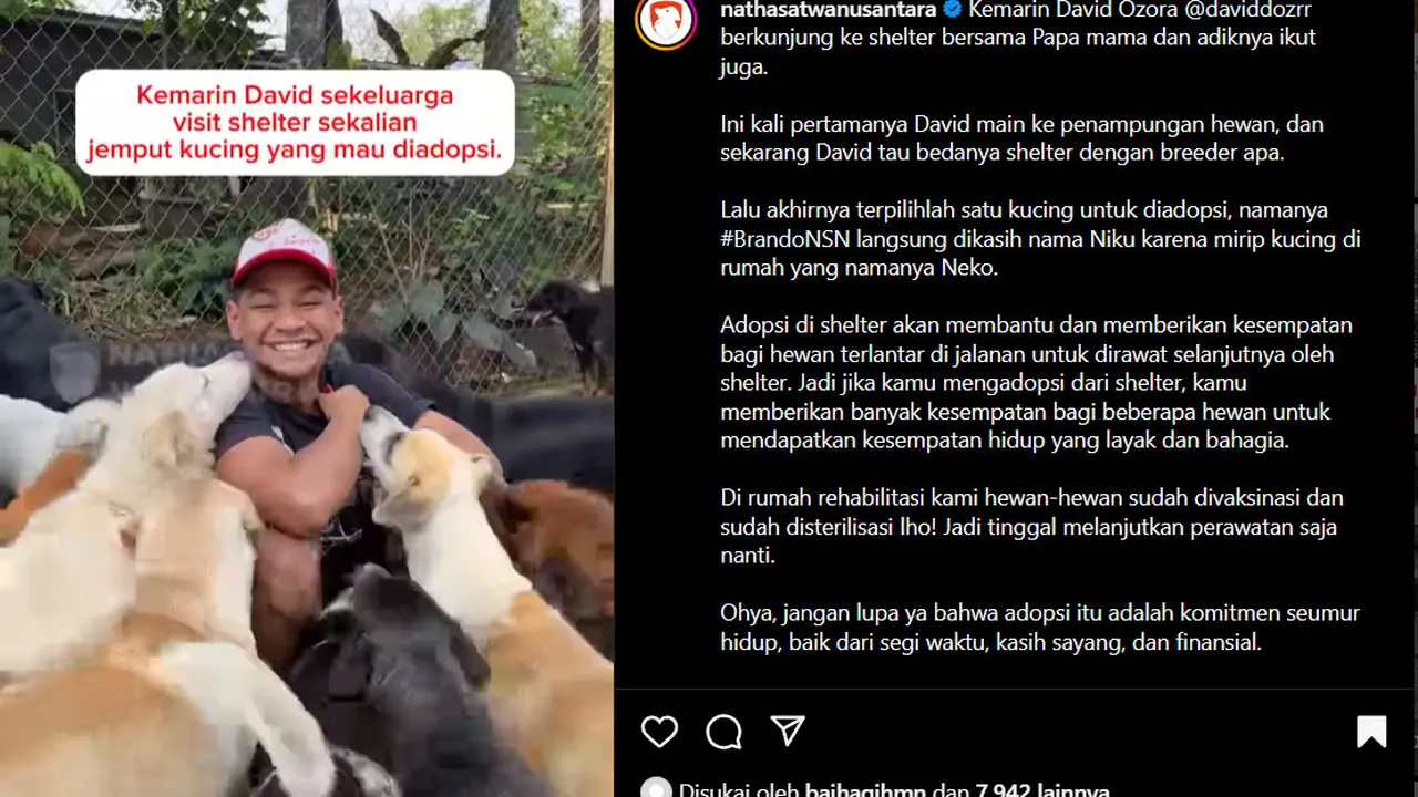David Ozora Adopsi Kucing dan dikerumuni Anjing-anjing Shelter, Kampanyekan #AdoptDontShop