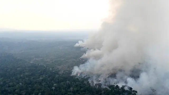 Warga Brasil kesulitan bernapas saat Amazon terbakar