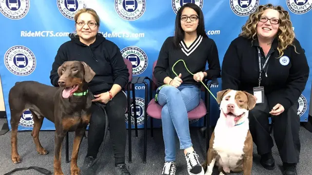 Sopir Bus Jamie Grabowski (paling kanan), bertemu kembali dengan kedua anjing dan pemiliknya.