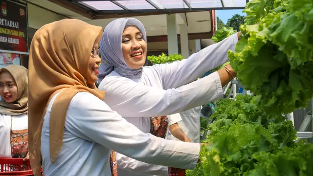 Urban Farming Ubah Kehidupan Masyarakat di Jayapura, Seperti Apa Kisah Inspiratif Mereka?