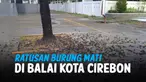 vertical burung